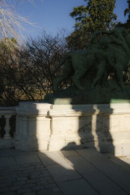 Angel Vidarte