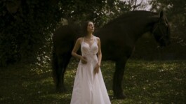 Angel Vidarte